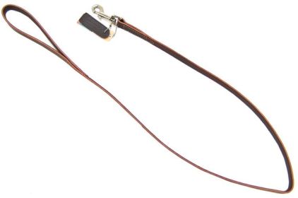 Circle T Latigo Leather Lead 4' Long (size: 4 feet x 3/4"W)