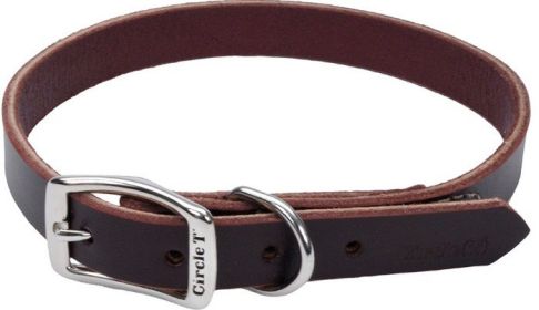 Circle T Latigo Town Dog Collar (size: 20"L x 3/4"W)