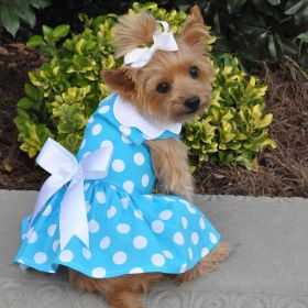 Blue Polka Dot Dog Dress with Matching Leash (size: X-Small)