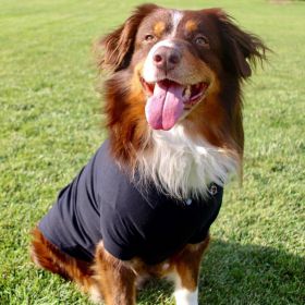 Solid Dog Polo - Jet Black (size: X-Large)
