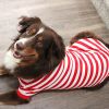 Striped Dog Polo - Flame Scarlet Red and White