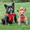 Wrap and Snap Choke Free Dog Harness by Doggie Design - Flame Red