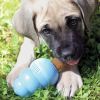 KONG Ziggies Puppy Recipe Small / Petit 6-20 lbs