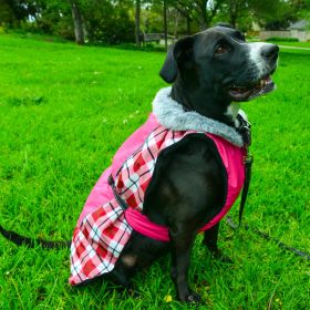 Alpine All-Weather Dog Coat - Raspberry Plaid (size: small)