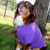 Solid Dog Polo - Ultra Violet