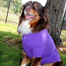 Solid Dog Polo - Ultra Violet (size: X-Small)